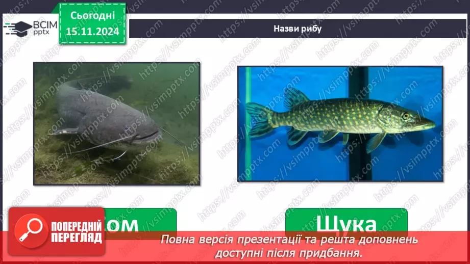 №0035 - Як риби готуються до зими10 №0035 - Як риби готуються до зими10