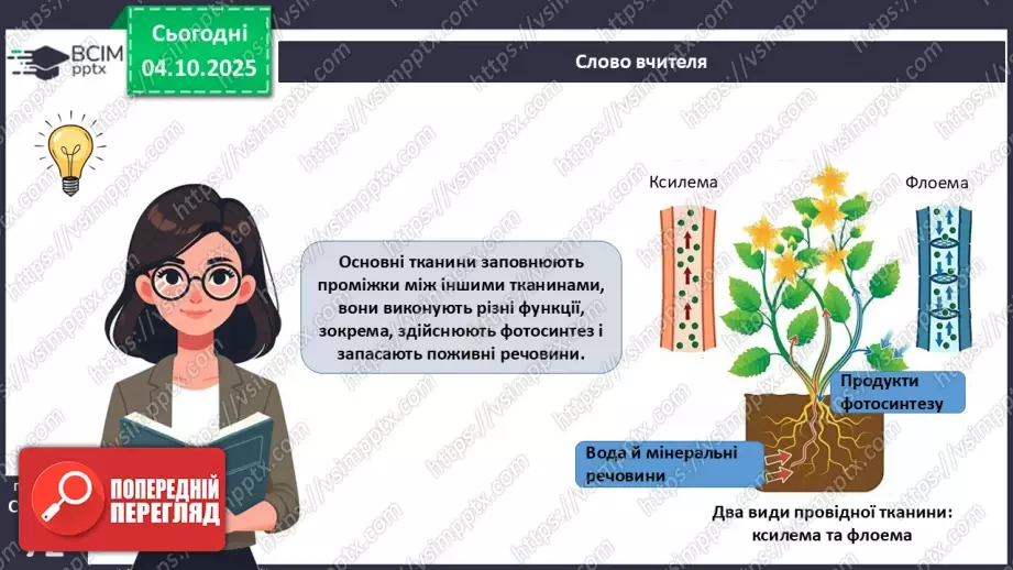 №021 - Покритонасінні рослини: тканини та будова кореня11 №021 - Покритонасінні рослини: тканини та будова кореня11