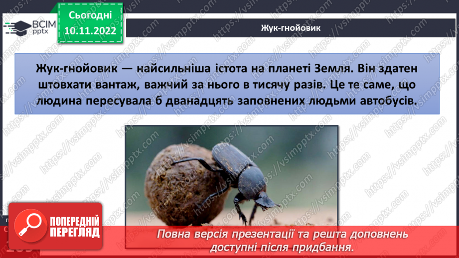 №037 - Найсильніші тварини.7