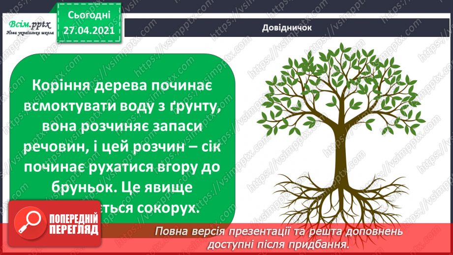 №075 - Як почуваються рослини навесні?19 №075 - Як почуваються рослини навесні?19