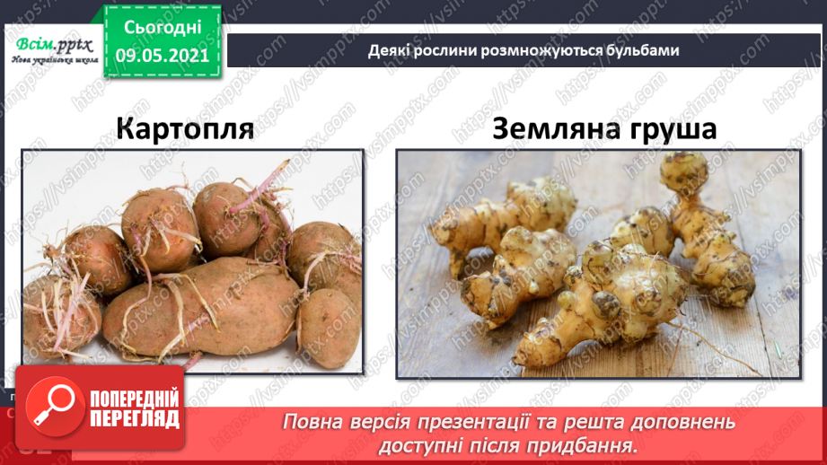 №054 - Як розмножуються рослини?29 №054 - Як розмножуються рослини?29