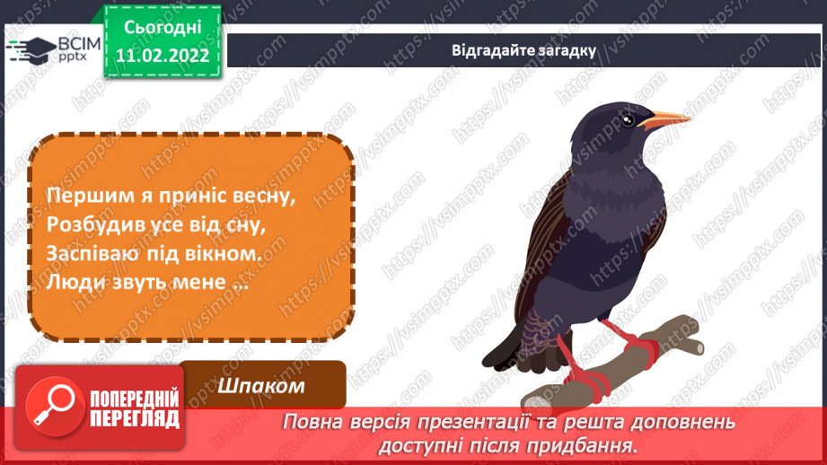 №23 - Основні поняття: анімація СМ: фото тварин і відповідних персонажів в анімації; м/ф «Курча в клітиночку»6