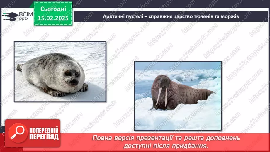 №46 - Природні зони Північної Америки. Арктичні пустелі. Тундра. Ліси помірного поясу.5