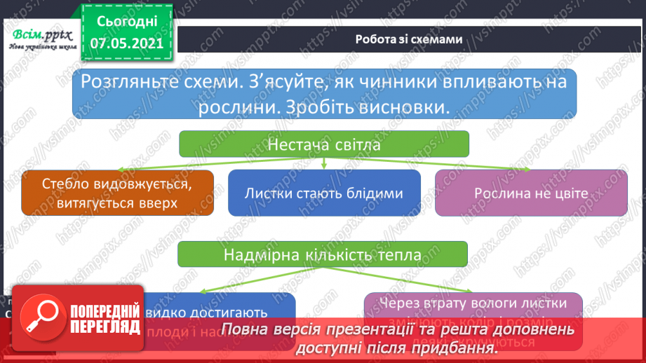 №038 - Які умови потрібні для розвитку рослин8