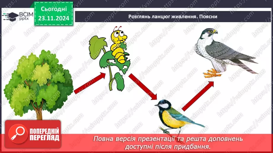 №0038 - Які невидимі ланцюги є в осінньому лісі8 №0038 - Які невидимі ланцюги є в осінньому лісі8