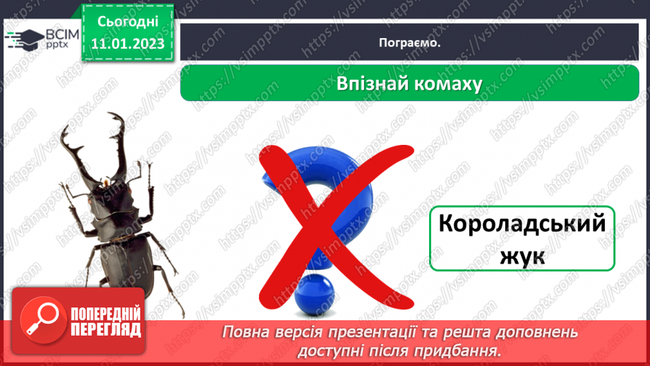 №0055 - Комахи23 №0055 - Комахи23