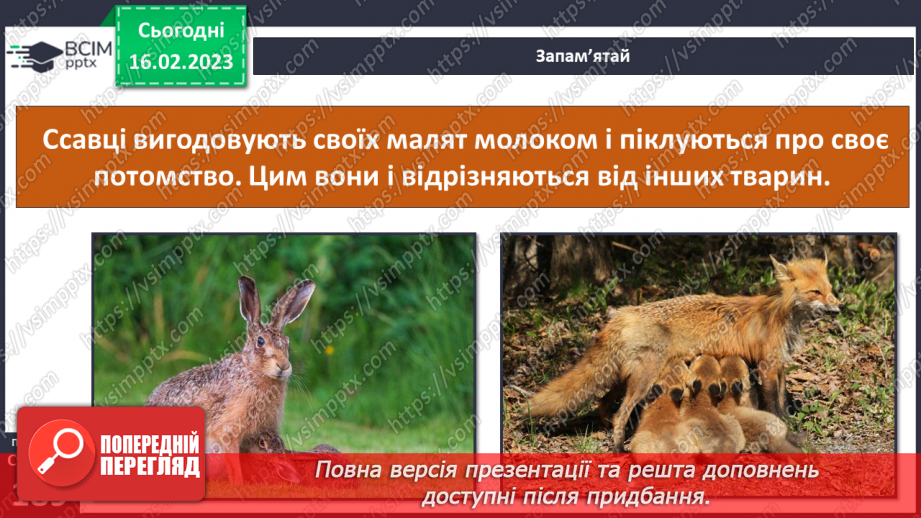 №48 - Хребетні тварини. Будова та спосіб життя хребетних тварин. Практична робота.26