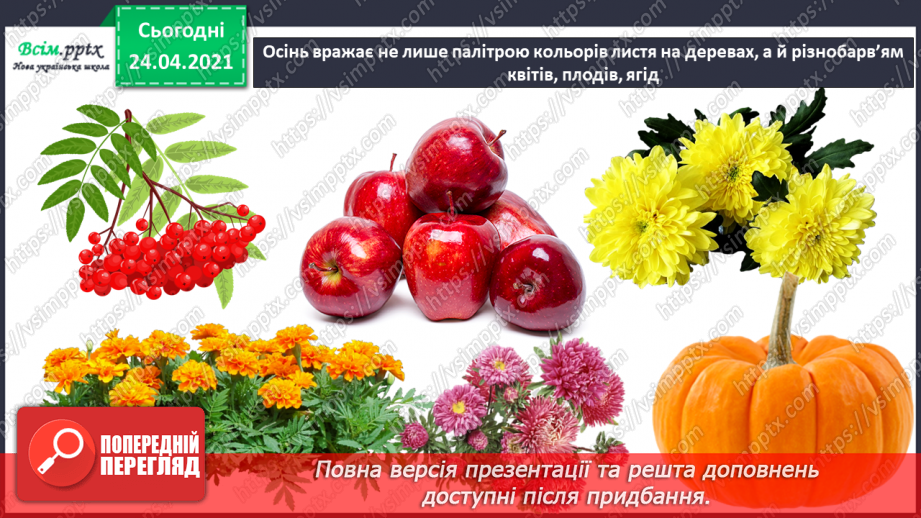 №03 - Колорит. Художня техніка монотипія. Створення композиції «Осінні квіти» в теплому або холодному колориті в техніці монотипія5