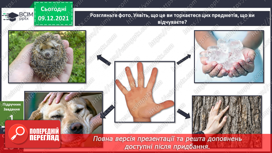 №047-48 - Для чого людині шкіра? Чи робить нас різними колір шкіри?4 №047-48 - Для чого людині шкіра? Чи робить нас різними колір шкіри?4