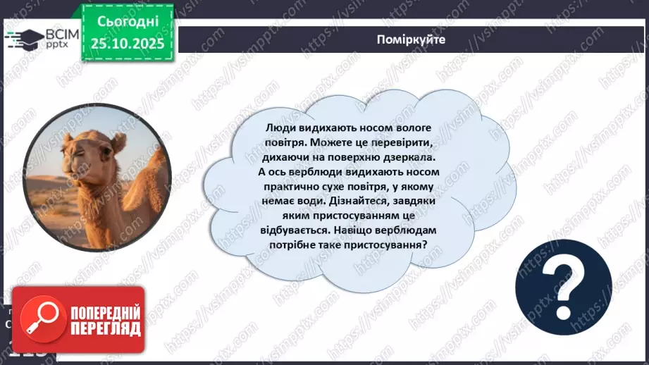 №028 - Виділення як властивість живого. Еволюція видільної системи тварин.24 №028 - Виділення як властивість живого. Еволюція видільної системи тварин.24