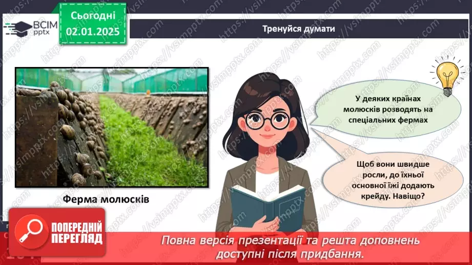 №52 - Молюски.6 №52 - Молюски.6