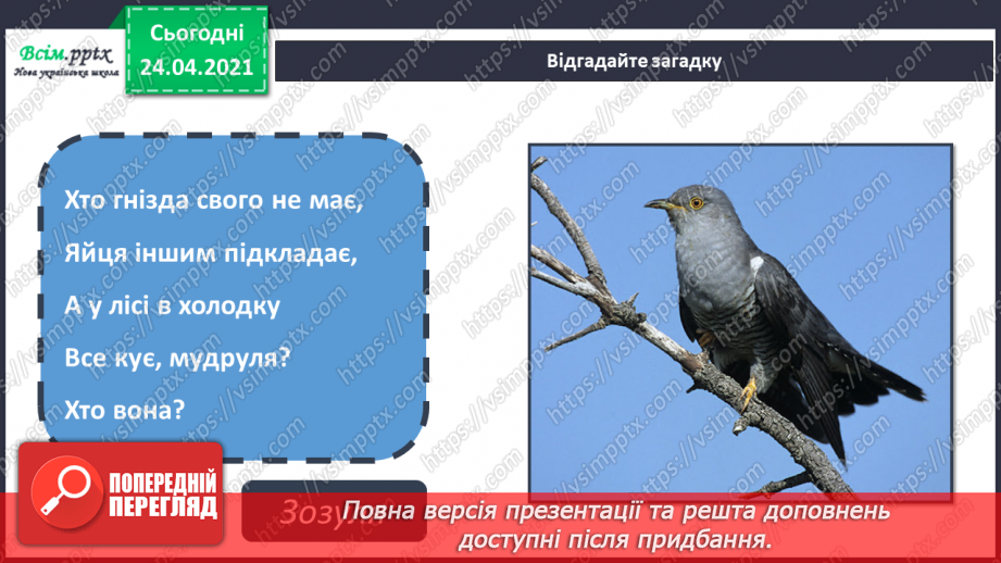 №19 - Малювання птахів (олівець). Створення сторінки Червоної книги з малюнком птаха9