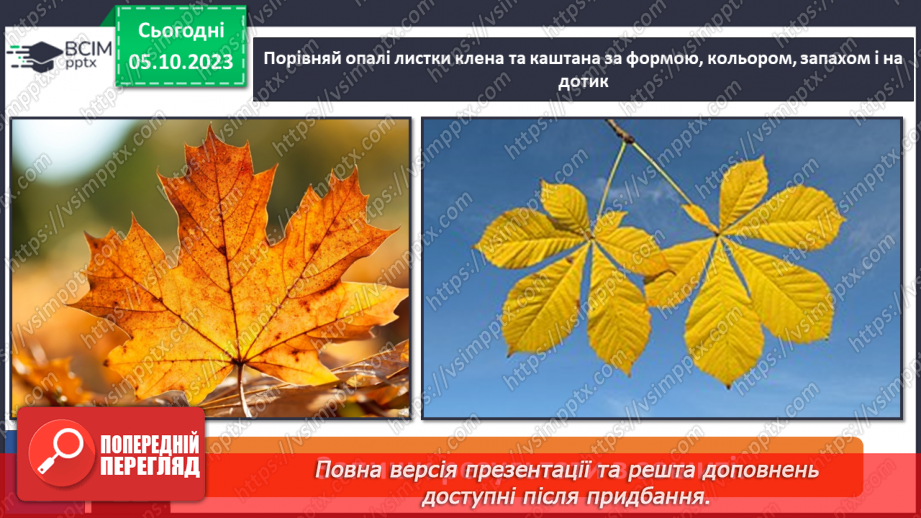 №021 - Осінні явища в житті рослин18 №021 - Осінні явища в житті рослин18