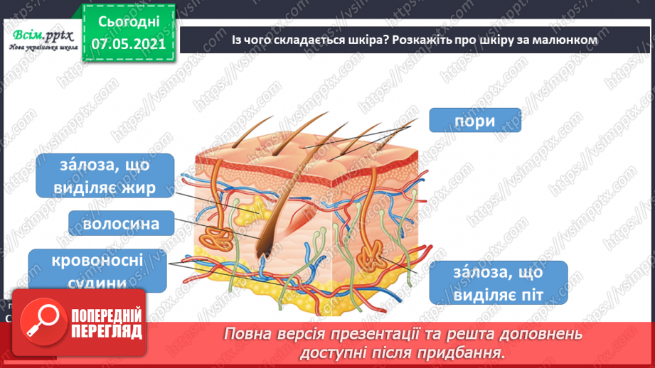 №050 - Яка роль шкіри в організмі людини9 №050 - Яка роль шкіри в організмі людини9