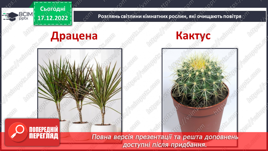 №35 - Ґрунтове повітря та його склад. Чому повітря потребує охорони. Небезпечні природні явища.23