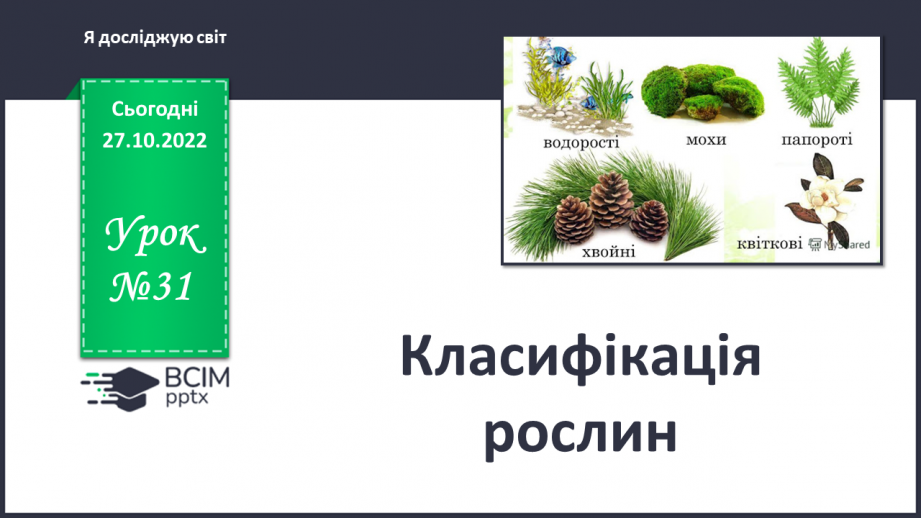 №031 - Класифікація рослин.0 №031 - Класифікація рослин.0