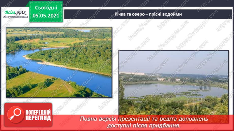 №052 - Природне угруповання — прісна водойма.7
