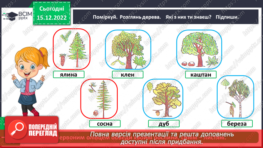 №0052 - Листяні і хвойні рослини27 №0052 - Листяні і хвойні рослини27