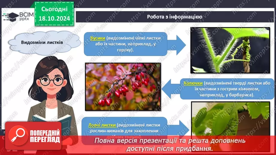 №26 - Видозміни вегетативних органів рослин.12 №26 - Видозміни вегетативних органів рослин.12