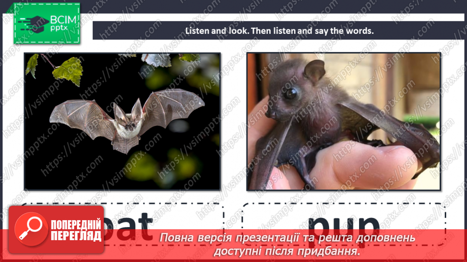 №087 - Unit 8. Look at that baby! Animals and their babies.8 №087 - Unit 8. Look at that baby! Animals and their babies.8
