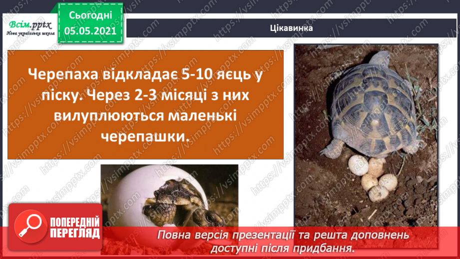 №044 - Різноманітність тварин у природі. Плазуни19 №044 - Різноманітність тварин у природі. Плазуни19