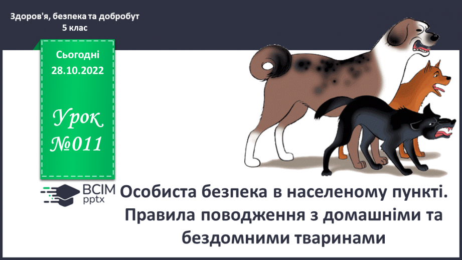 №11 - Особиста безпека в населеному пункті.  Правила поводження з домашніми та бездомними тваринами.0