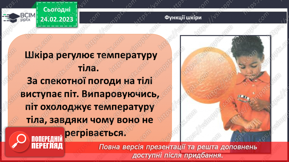 №50 - Із чого складається організм людини. Клітини, внутрішні органи та шкіра.21