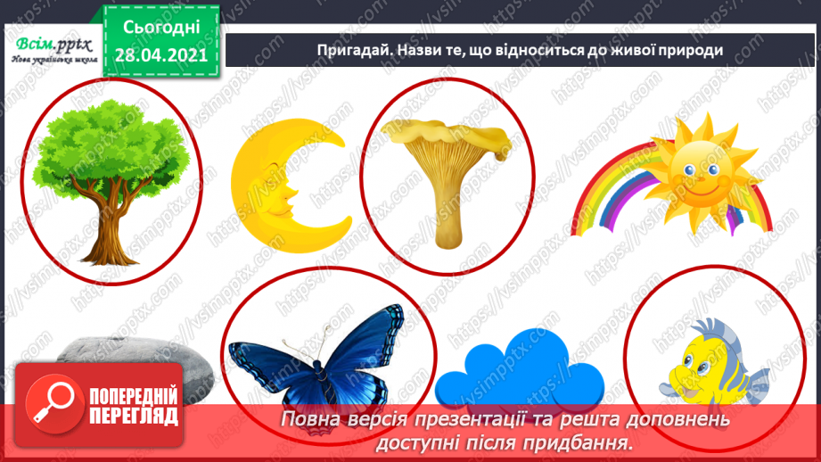 №011-12 - Урок-екскурсія. Як спостерігати за змінами в довкіллі?2