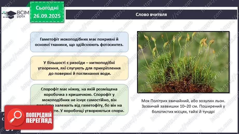 №017 - Вищі спорові рослини: мохи та плауни. Їхнє значення в екосистемах і використання19 №017 - Вищі спорові рослини: мохи та плауни. Їхнє значення в екосистемах і використання19