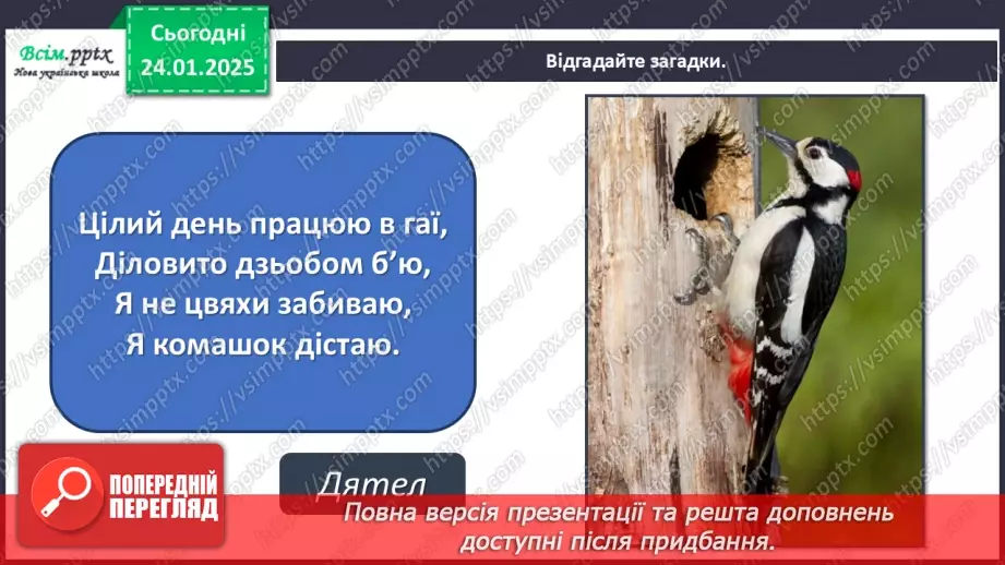 №20 - Карнавал птахів8 №20 - Карнавал птахів8