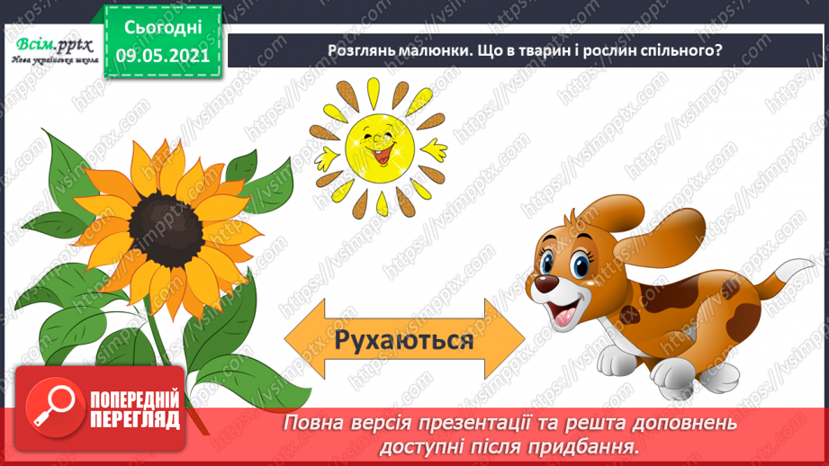 №049 - Чим особливий різноманітний світ рослин?16 №049 - Чим особливий різноманітний світ рослин?16