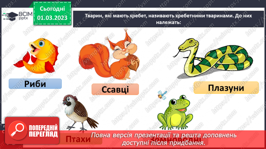 №076 - Хребетні та безхребетні тварини. Множини тварин.12