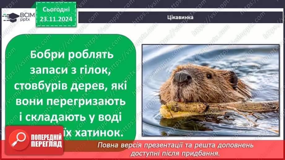 №0037 - Як звірі готуються до зими14 №0037 - Як звірі готуються до зими14