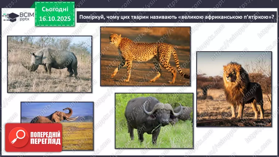 №027 - Рослини і тварини Південної Африки. Мадагаскар17 №027 - Рослини і тварини Південної Африки. Мадагаскар17