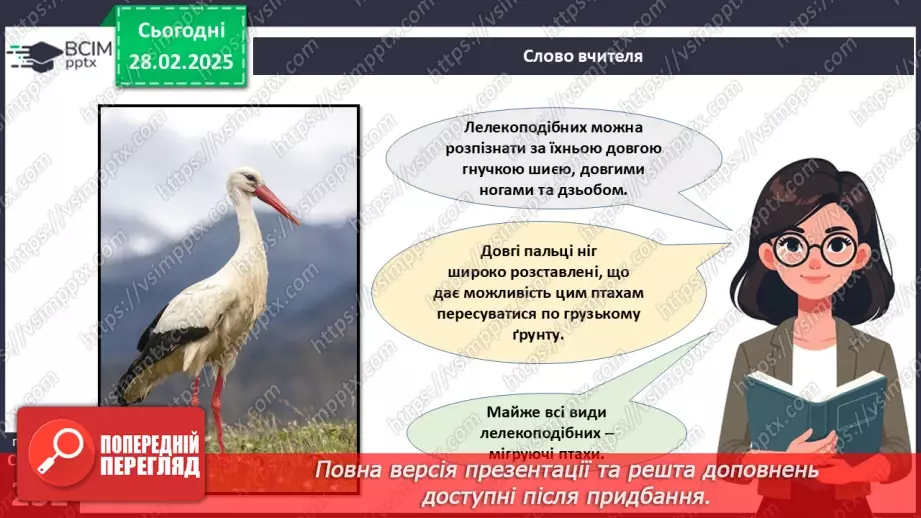 №65 - Різноманітність птахів.8