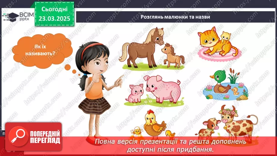№082 - У світі тварин. Дорослі та дитинчата. Стадії розвитку тварин.12 №082 - У світі тварин. Дорослі та дитинчата. Стадії розвитку тварин.12