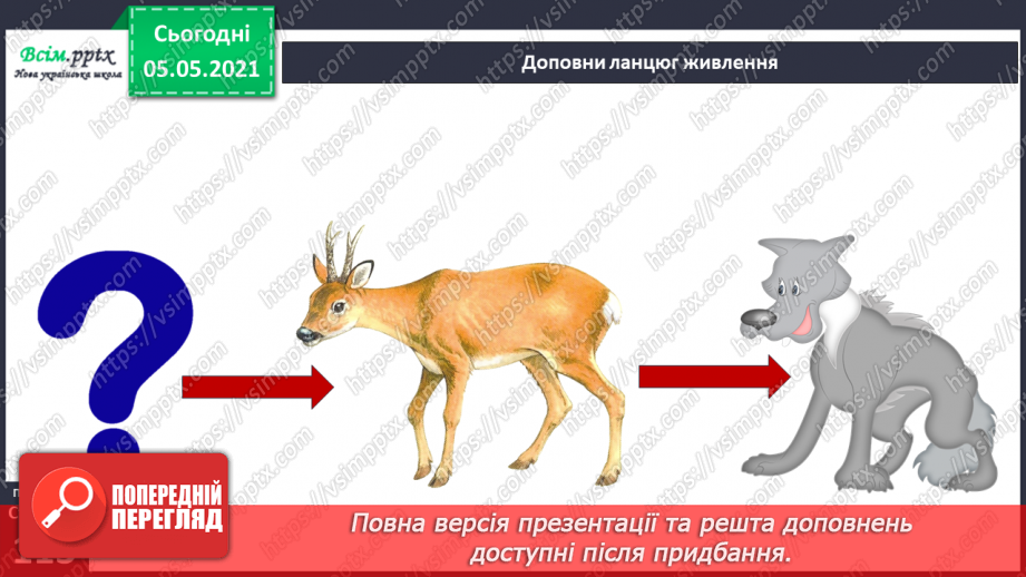 №071 - У природі все взаємопов’язане.28