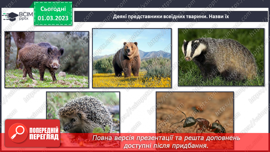 №076 - Хребетні та безхребетні тварини. Множини тварин.26