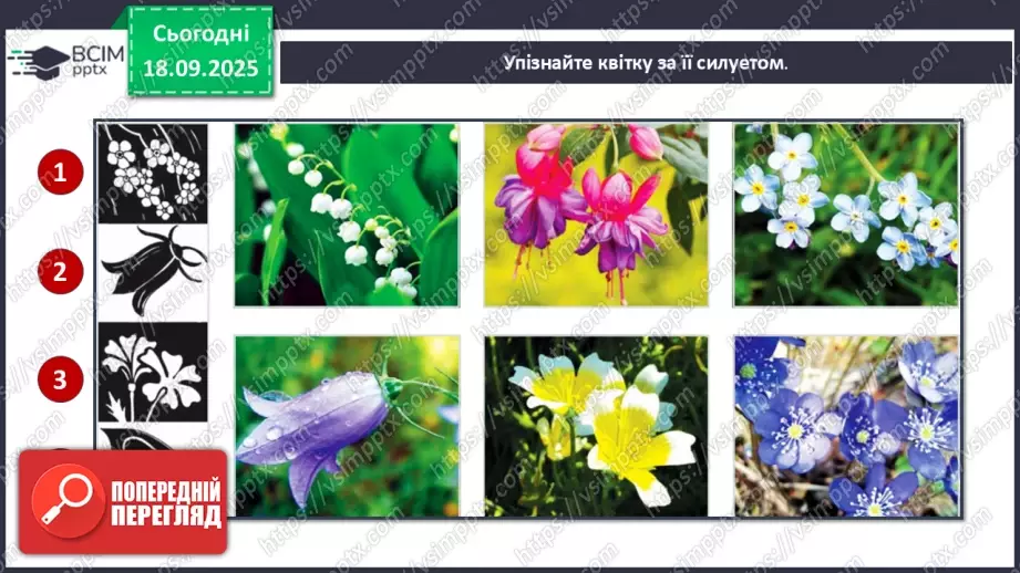 №05 - Основні поняття: силует СМ: методична таблиця на розпізнавання силуетів (фото шести квіток і силуети чотирьох квіток)9 №05 - Основні поняття: силует СМ: методична таблиця на розпізнавання силуетів (фото шести квіток і силуети чотирьох квіток)9