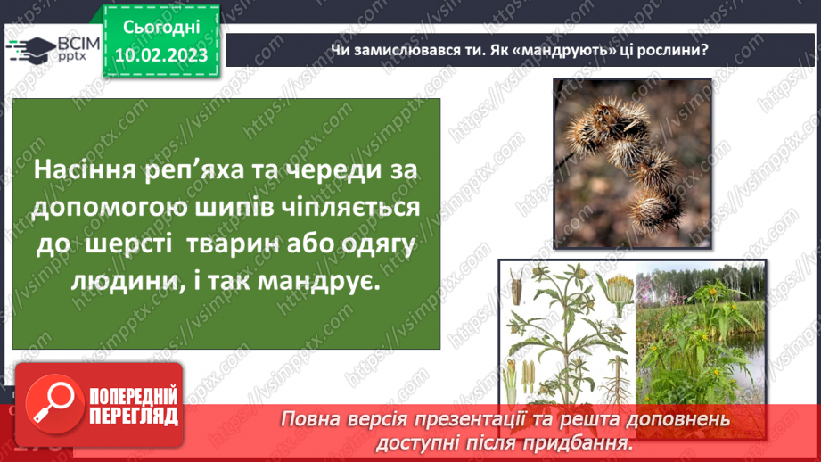 №45 - Пристосування до життя та різноманітність рослин. Секрети насінини.14