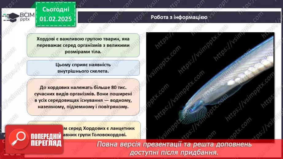 №58 - Хордові.7 №58 - Хордові.7