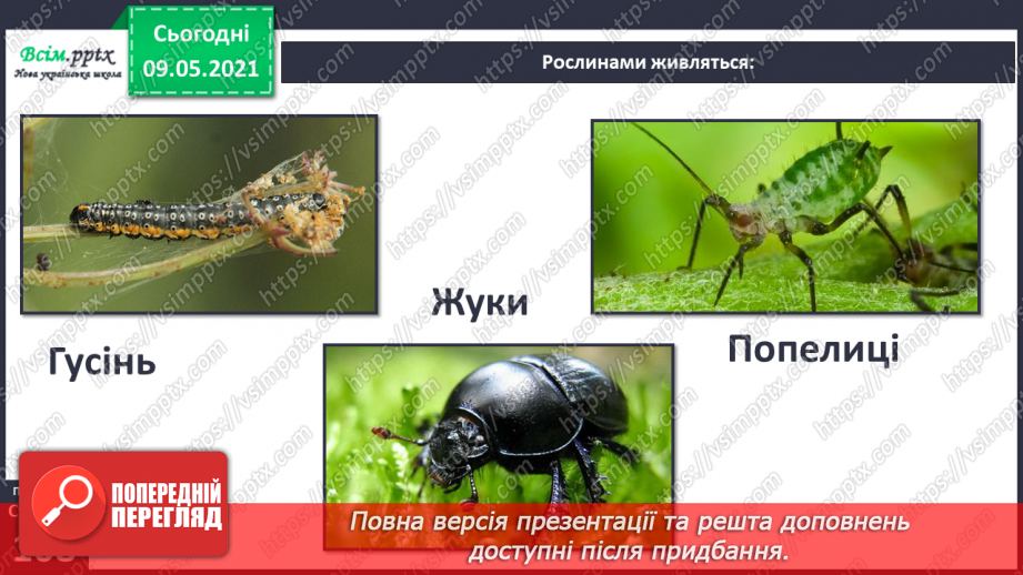 №074-75 - Які тварини живуть на луках, у степах і водоймах?9