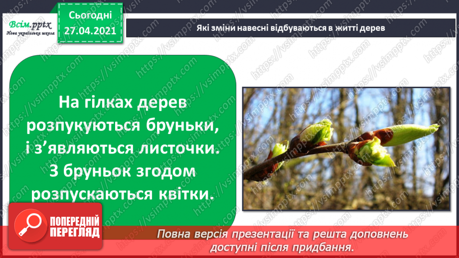 №075 - Як почуваються рослини навесні?15 №075 - Як почуваються рослини навесні?15
