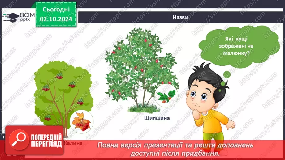 №021 - Рослини восени. Ходить гарбуз по городу.8