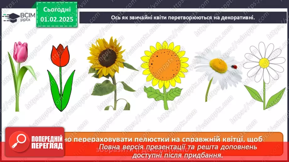 №021 - Світ рослин у мистецтві11 №021 - Світ рослин у мистецтві11