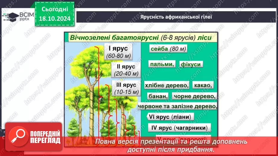 №18 - Природні зони Африки. Вологі екваторіальні ліси.9