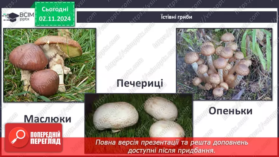 №0033 - Чи всі гриби їстівні5 №0033 - Чи всі гриби їстівні5