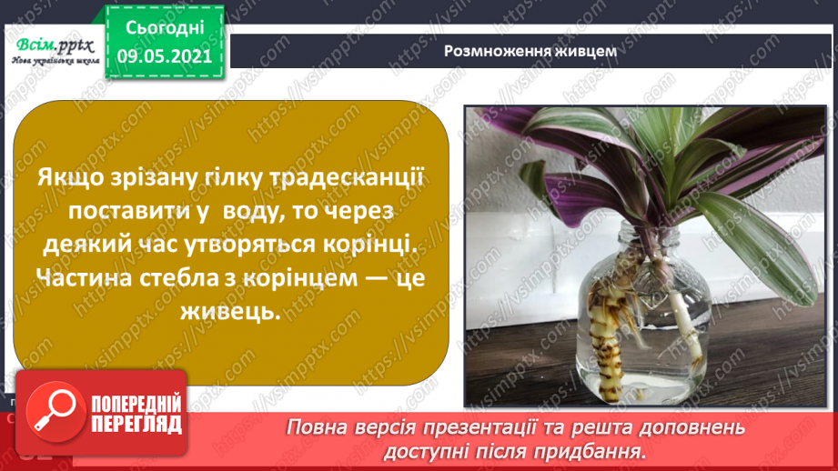№054 - Як розмножуються рослини?26 №054 - Як розмножуються рослини?26