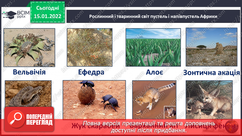 №057 - Які рослини і тварини мешкають в Африці11 №057 - Які рослини і тварини мешкають в Африці11
