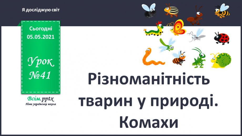 №041 - Різноманітність тварин у природі. Комахи0 №041 - Різноманітність тварин у природі. Комахи0